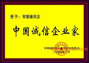 选择绿森信息咨询，获取优质安徽企业资质办理服务