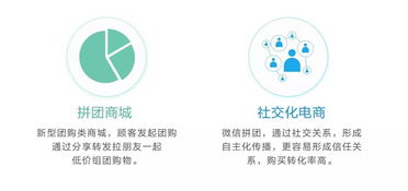 突发重大政策信号 未来经济布局将迎大规模调整，信息咨询服务迎来新机遇